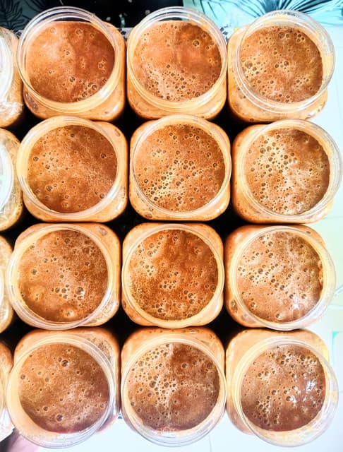 Palm Jaggery (খাঁটি তালের গুড়)
