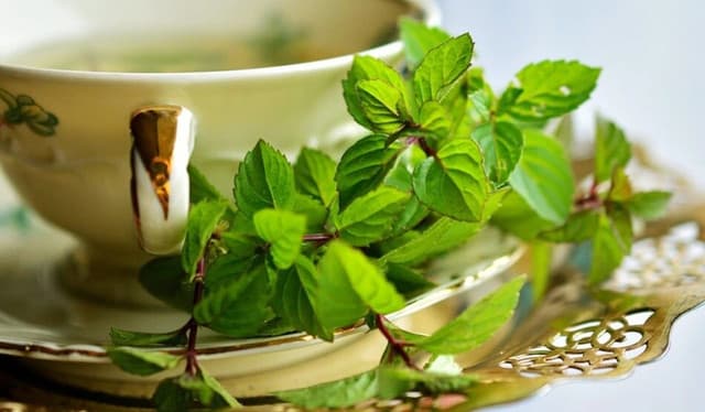 Tulsi Herbal Tea (তুলসী herbal চা)